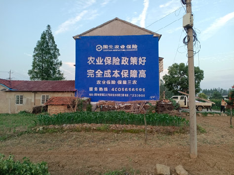 横州墙体广告为何受追捧？